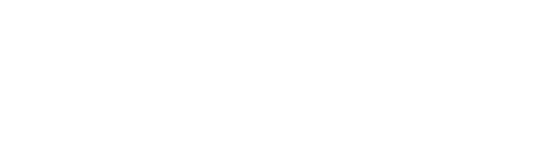 Brainscape Logo